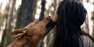 Dog and girl sexi movi