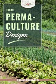 The latest architecture and news. Easy Urban Permaculture Designs For Your Backyard Bees And Roses