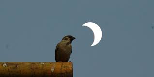 A total solar eclipse occurs when the moon completely obscures the sun. Ak0l8npdeeqjnm