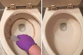 18 Things That Actually Make Cleaning Toilets Incredibly Easy Gross Toilet Toilet Cleaner Toilet Cleaning