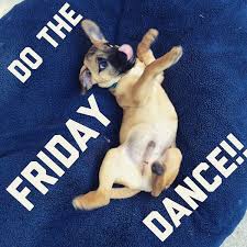 To celebrate with you, here's our happy friday meme collection. Its Friday Meme Dance