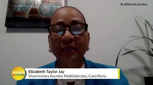 La Viceministra de Asuntos Multilaterales de la Cancillería Elizabeth  Taylor Jay, comparte en los micrófonos de Avanza el Cambio lo que significa  para Colombia la visita del Consejo de Seguridad de la ...