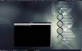 Xfce4 Slackware Desktop By Christianruesch Deviantart Com On Deviantart Deviantart Wallpaper Desktop