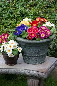Garden Photo World Stock Image Library Flower Pots Planting Flowers Shade Flowers