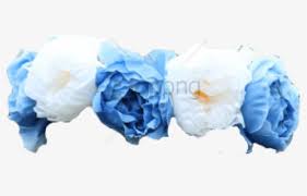 We did not find results for: Blue Flower Png Images Free Transparent Blue Flower Download Kindpng