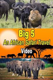 Big 5 An African Safari Travel Video Single And Thinking About A Kenya Safari Check Out Best Single Travel Travel Videos African Safari Solo Travel Europe