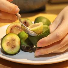 If you've grown weary of the usual offerings in the supermarket, consider trying some of the many exotic fruits available, some of which you may never even heard of. Citrusy Aroma How Feijoas Baffled A New Zealand Immigrant And Polarise A Nation New Zealand The Guardian