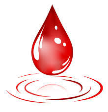 Selain itu juga adanya pemberitahuan di media cetak, pamflet dan undangan untuk lembaga dan organisasi yang berpotensi menjadi peserta donor darah. 20 Inspirasi Background Pamflet Donor Darah Little Duckling Blog