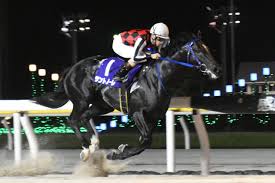衝撃！サントノーレが8馬身差圧勝！地方競馬フリオーソLC制覇！ - Imagen principal del artículo