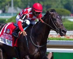 Последние твиты от _blackhorse_ (@horse_luca). Serengeti Empress Returns To Top Form In Ballerina Bloodhorse