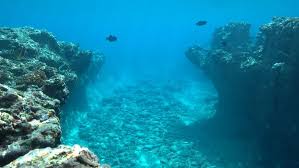 Maybe you would like to learn more about one of these? Relief Dasar Laut Pengertian Bentuk Dan Contoh
