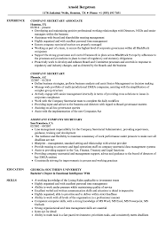 / the outdated notion of a secretary who takes notes from the employer and does some typing is rare in today's demanding business world. Company Secretary Resume Samples Velvet Jobs