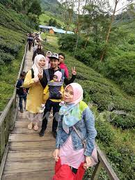 Jom bercuti cameron highlands, pahang, pahang, malaysia. Tips Percutian Keluarga Ke Cameron Highland Sempena Ulang Tahun Zuhaira Yang Pertama