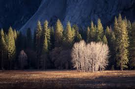 Authenticity in Photography