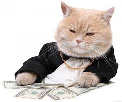 https://encrypted-tbn0.gstatic.com/images?q=tbn:ANd9GcQFgNByoqu1ZgdwhXz776KQetjY905H9Rlc62II0m8B8QrHxL3bwA