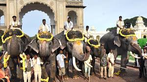 Second batch of Dasara elephants arrives in Mysuru - The Hindu
