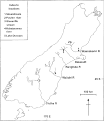 Map of new zealand political map of new zealand the map shows new zealand, the location of the national capital wellington, region capitals, major cities and towns, main roads, railroads, and major airports. Map Of The South Island Of New Zealand Showing The Major Salmon Rivers Download Scientific Diagram