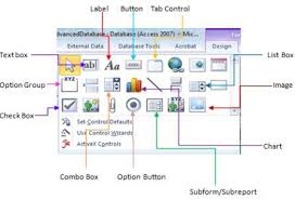 Microsoft Access 2010 Tutorial Controls Part I