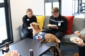 Sandra Rigby (@SandraRigby_)