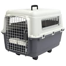 Cats can be your best friend for life if you just if you take your cat along with you when you travel and you are in a place where pets are not this book including: 12 Of The Best Dog Crates For Every Pup According To Pet Owners