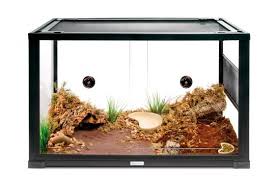Pin On Tarantula Tanks