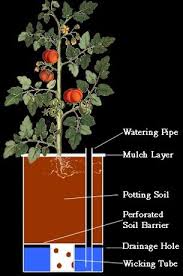 With The These Self Watering Planters Your Job As A Gardener Becomes Less But The Plants Are Wat Self Watering Containers Self Watering Planter Self Watering