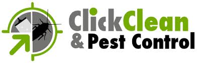 Our auckland carpet cleaners and pest exterminators will ensure that your home is left in an immaculate condition that is safe for you and your family to be in. Carpet Steam Cleaning Brisbane Carpet Cleaning Rug Cleaning Carpet Stain Removal Brisbane