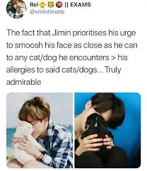 He Has Allergies Why Did No One Tell Me Omf I Thought He Had A Dog Too What Is This Bts Tweet Bts Funny Bts Memes