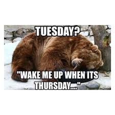 Finally Free Productions On Twitter I Think He Meant Friday Meme Funnymeme Funny Joke Prank Tuesday Tgif Tgifmeme Bear Hibernation Https T Co Icktukmyea