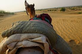 The movie features arun shankar and pankaja menon in the lead roles. Pin On The Desert Therapy