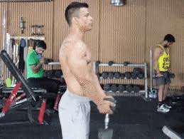 Place the dumbbell on your lower abs/groin. One Dumbbell Front Raise Nasil Yapilir Fitnessandbeast