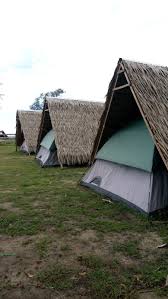 Others for rent for rm 250 per month at tuaran, sabah. Script Async Async Src Pagead2 Googlesyndication Com Pagead Js Adsbygoogle Js Script Script Adsbygoogle Window Adsbygoogle Push Google Ad Client Ca Pub 8298637322134543 Enable Page Level Ads True Script Campsite