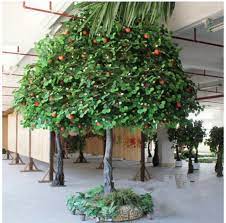Ornamental trees & fruit trees online. Indian Fruit Trees Artificial Apple Tree Ornamental Artificial Fruit Trees Buy 2017 Hot Sale Fruit Trees Indian Fruit Trees Artificial Fruit Trees Apple Tree Fruit Trees Product On Alibaba Com