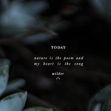 And My Hands Will Never Forget The Words Aesthetic Arti Naturelover Wilder Bookshelf Motivation Heart Feelings Quotes New Quotes Wisdom Quotes