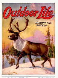 Covers Hunting Art Outdoor Art Environmental Art