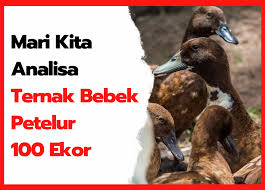 Entdecke rezepte, einrichtungsideen, stilinterpretationen und andere ideen zum ausprobieren. Gambar Itik Ada Berapa