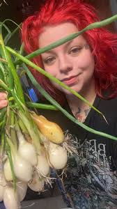 What to plant in a garden now and best potting soil?