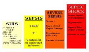 Doctors will start by checking for the symptoms mentioned above. Sepsis Steps