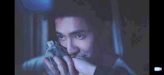 29 BAB II ANALISIS TEKS MENGENAI HOMOSEKSUALITAS DALAM SERIAL A TALE OF  THOUSAND STARS Bab ini akan menjelaskan terkait makna do