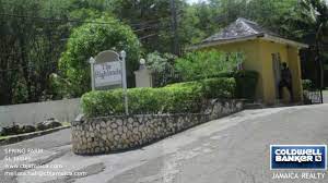 See 3 reviews, articles, and 10 photos of wynter's park & farm, ranked no.232 on tripadvisor among 309 attractions in jamaica. Spring Farm Youtube