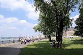 We did not find results for: Dusseldorf Rhein Promenade Kostenloses Foto Auf Pixabay