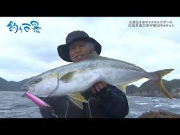 自然の中での楽しい遊び 釣り 国府津海岸を中心に紹介しています。 海岸の波は多少あり、潮はうすい濁りが入りました。 波打ち際海水温18.8°. é‡£ã‚Šç™¾æ™¯ 374 ãƒ¡ãƒ€ãƒªã‚¹ãƒˆå±±ç¸£äº®å¤ªãŒæ¥½ã—ã‚€ äººæ°—æ²¸é¨°ã‚µãƒ¼ãƒ•ã‚²ãƒ¼ãƒ  Litetube