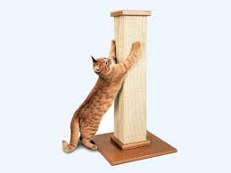 Get it as soon as wed, dec 30. Best Cat Scratching Posts In 2020 Pioneer Pet Petfusion And More