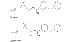 Image result for Pyrethroid