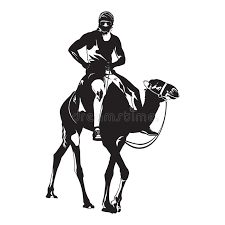 Download this free hd photo of person, human, egypt and animal in cairo, egypt by spencer davis (@spencerdavis). Camel Riding Stock Illustrations 542 Camel Riding Stock Illustrations Vectors Clipart Dreamstime