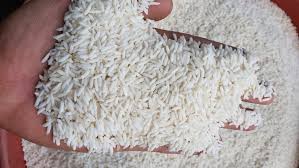 We did not find results for: Beras Ketan Putih Murah Berkualitas 5kg Lazada Indonesia