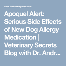 Apoquel Alert Serious Side Effects Of New Dog Allergy Medication Veterinary Secrets Blog With Dr Andrew Jones Dvm Allergy Medication Dog Allergies Medical