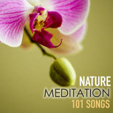 Amazon advertising find, attract, and engage customers. Stream Spa Music Relaxation Meditation Listen To Nature Meditation 101 Relaxing Serenity Spa Music Of Relaxation Zen Songs For Sound Therapy Asian White Noise Sounds With New Age Ambience Baby