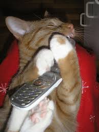 Maybe you would like to learn more about one of these? Don T Know The Number Don T Return The Call It S A Scam Better Business Bureau Warns Consumerist