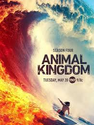 Watch Animal Kingdom Online Cast Review Download In Hd Download In Full Hd Watch All Seasons For Fre Animal Kingdom Tv Show Animal Kingdom Tnt Animal Kingdom